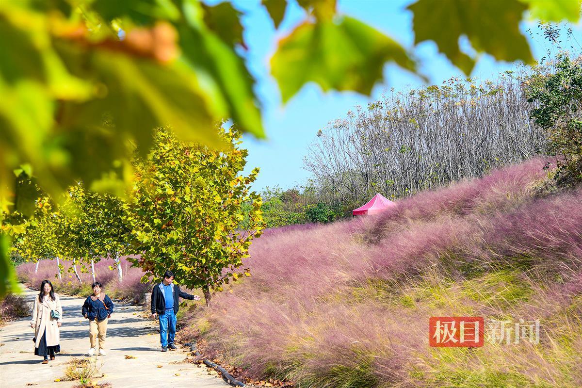 微信图片_20241111171851.jpg 微信图片_20241111171851.jpg