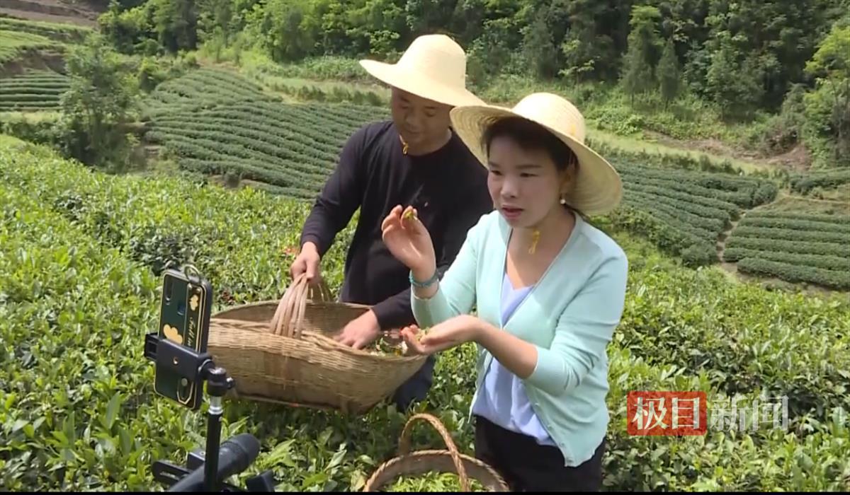 淘宝2.png 淘宝2.png