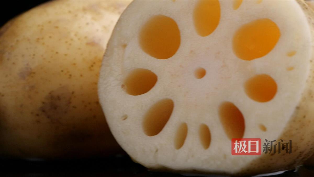 洪湖莲藕。（荆州融媒供图）.jpg
