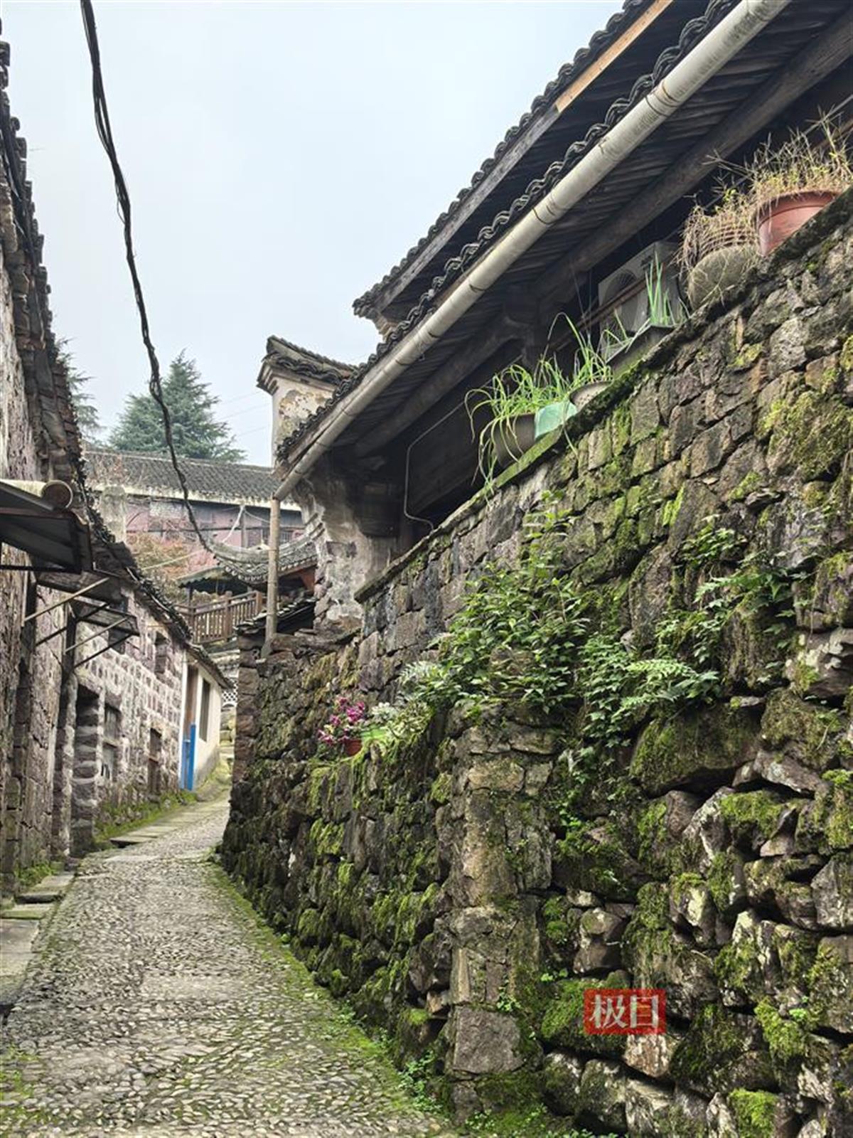 古村2.jpg