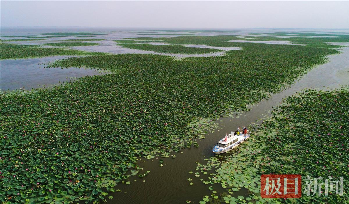 2.无人机拍摄的洪湖风光。新华社记者 熊琦 摄.jpg