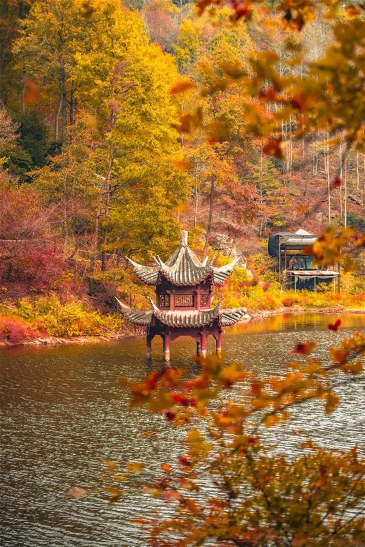 微信图片_20241118110624.jpg 微信图片_20241118110624.jpg