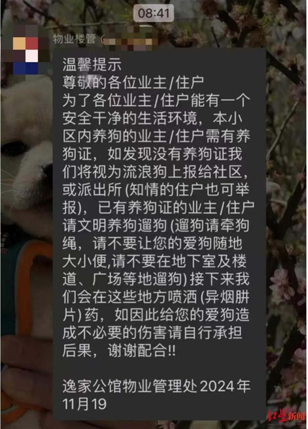 Ａ喷洒对犬类有毒的药品.jpg