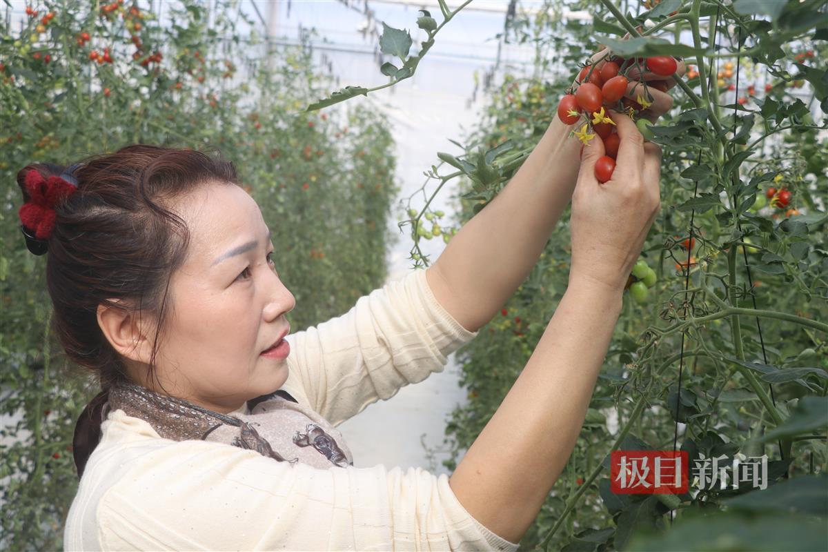 微信图片_20241127203347.jpg 微信图片_20241127203347.jpg