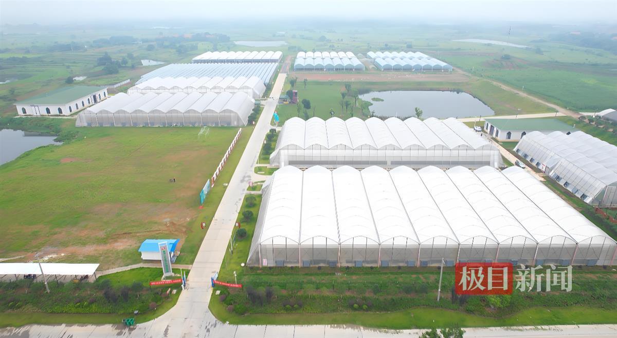 微信图片_20241127203354.png 微信图片_20241127203354.png