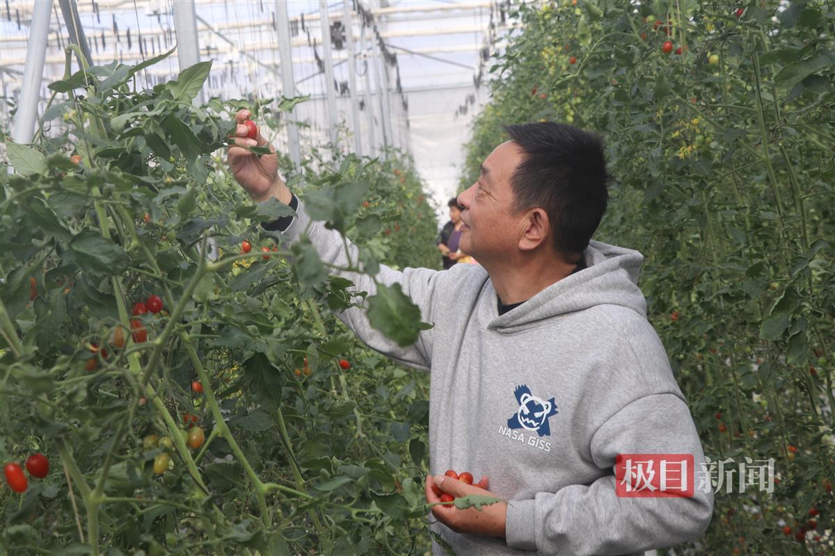 微信图片_20241127203338.jpg 微信图片_20241127203338.jpg