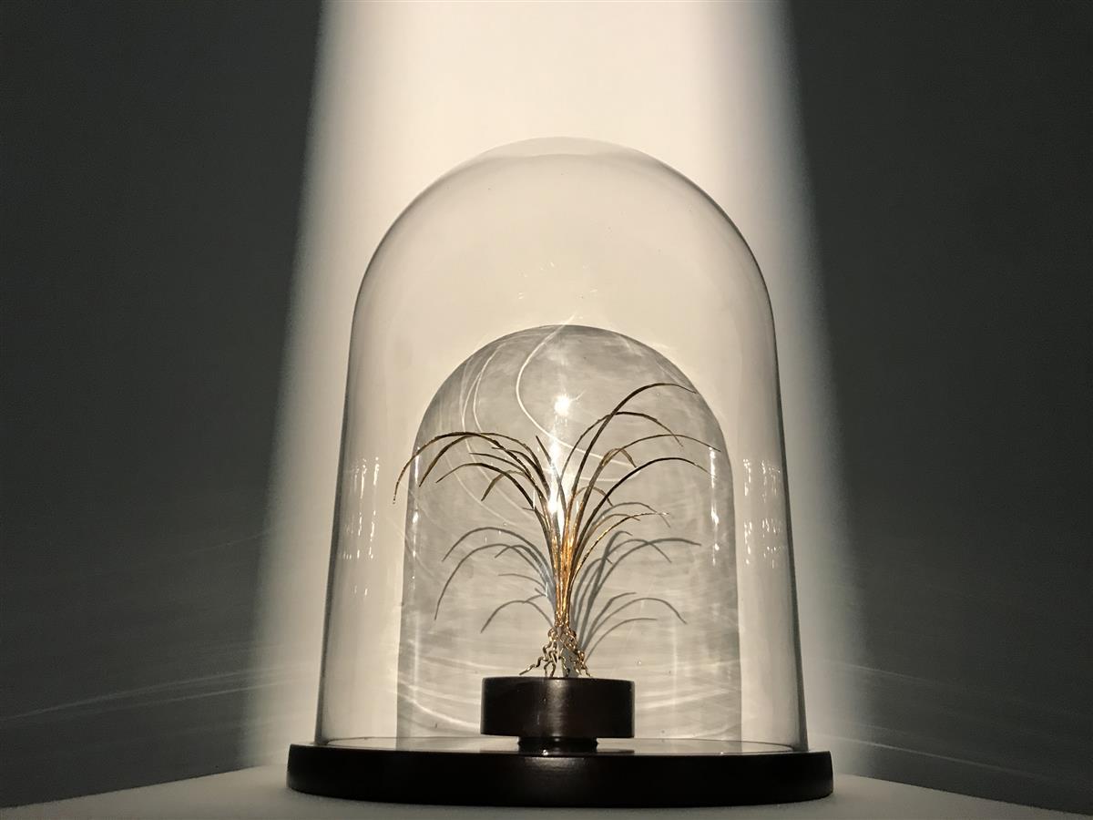 《金草》，芜湖铁艺，尺寸不等， 2018至今.jpg