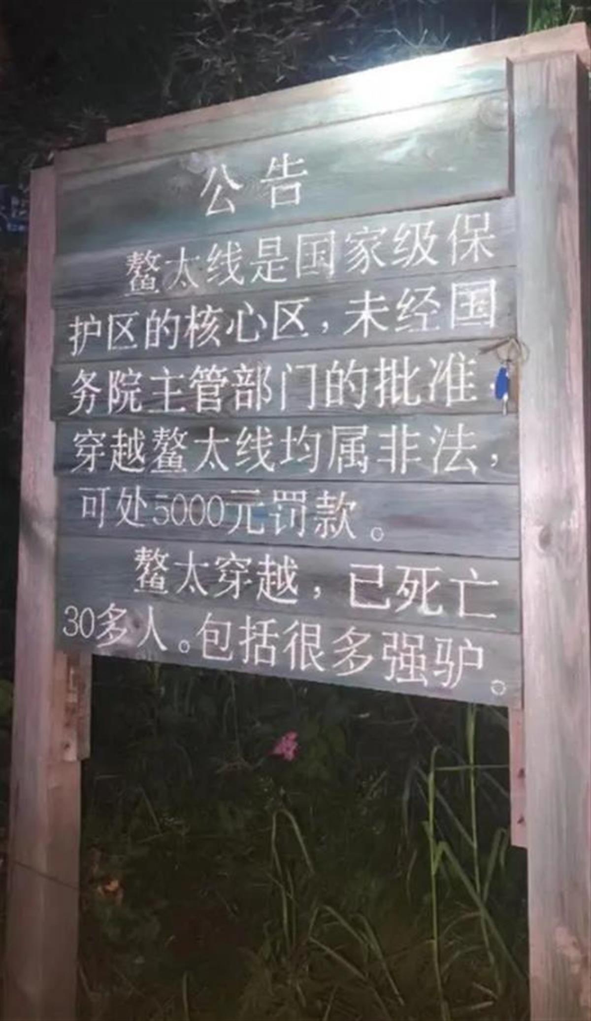 79D5C1C325D21DD795311393C6B60501.png