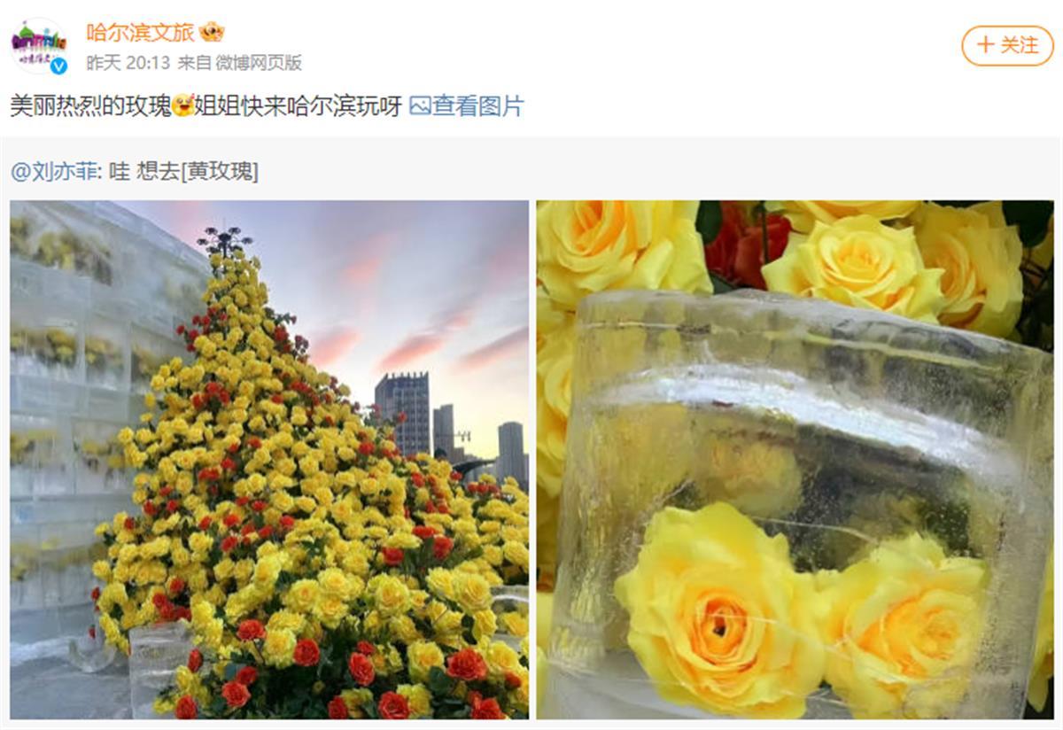 20241219085843.png 20241219085843.png