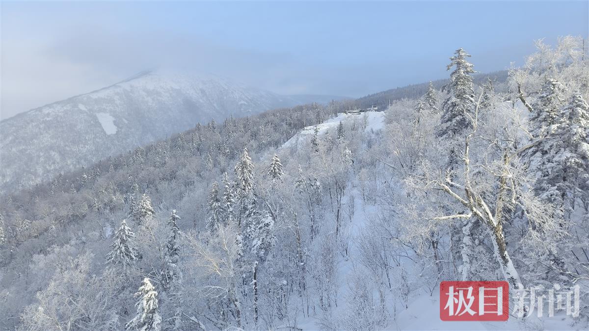 听，游客这样说！黑龙江亚雪公路自驾驿站温暖“冰雪路”