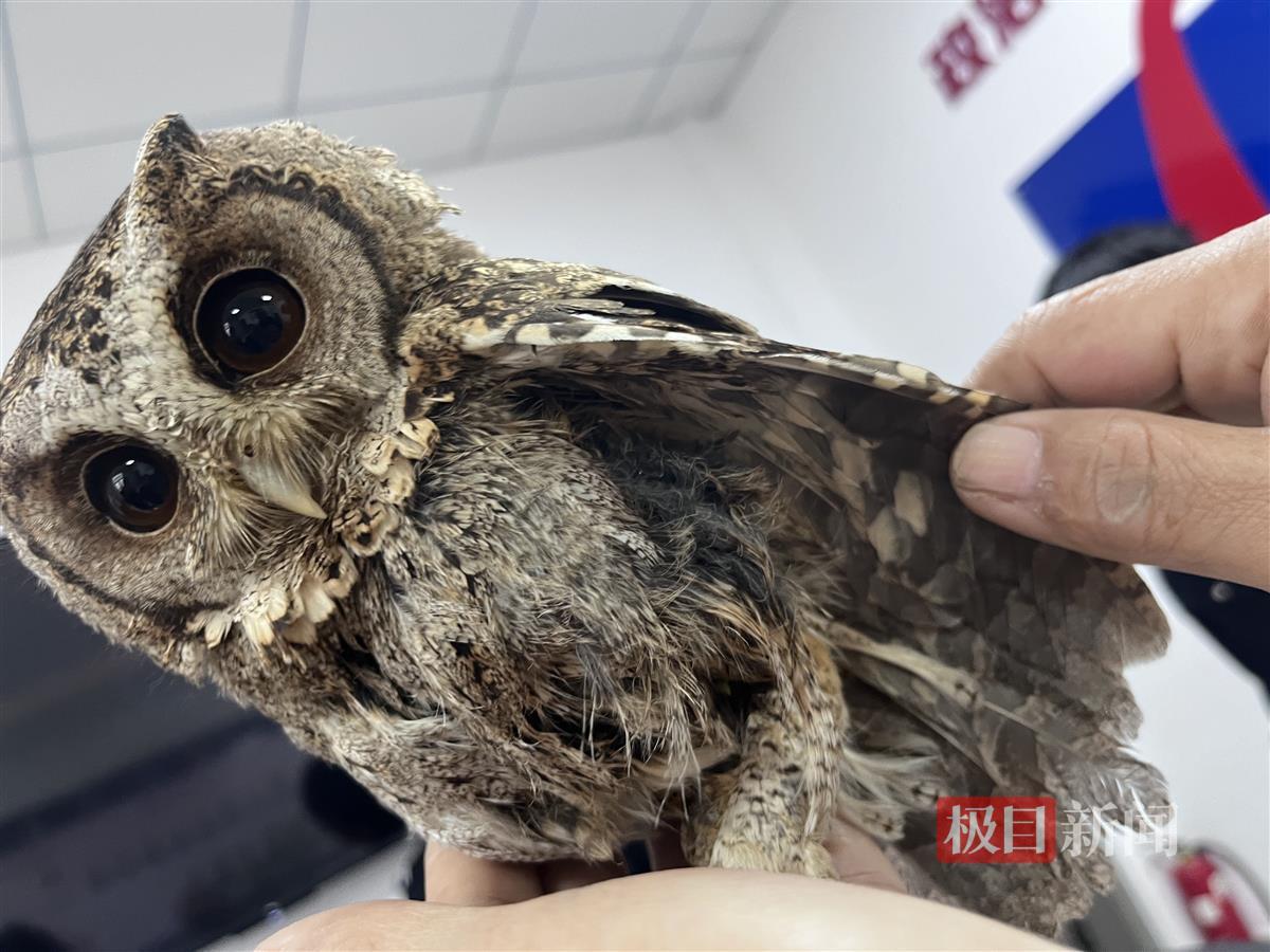 微信图片_20241231165755.jpg 微信图片_20241231165755.jpg