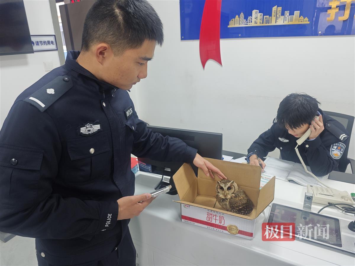 微信图片_20241231165801.jpg 微信图片_20241231165801.jpg