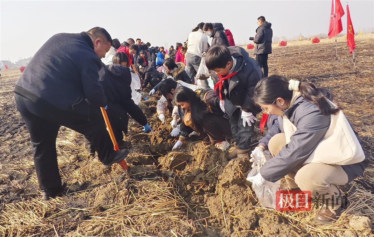 挖荸荠比赛现场  李梦婷摄.jpg