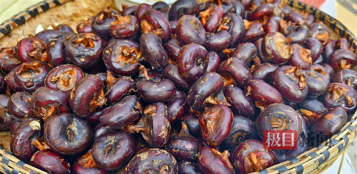 人和村产出的荸荠细腻脆爽，皮色黑紫，肉质洁白，味甜多汁 李梦婷摄.jpg