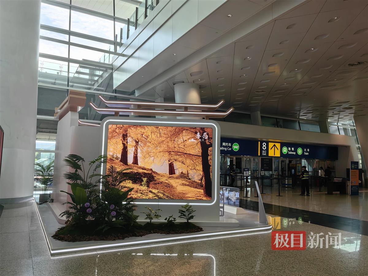 微信图片_20250122163754.jpg 微信图片_20250122163754.jpg