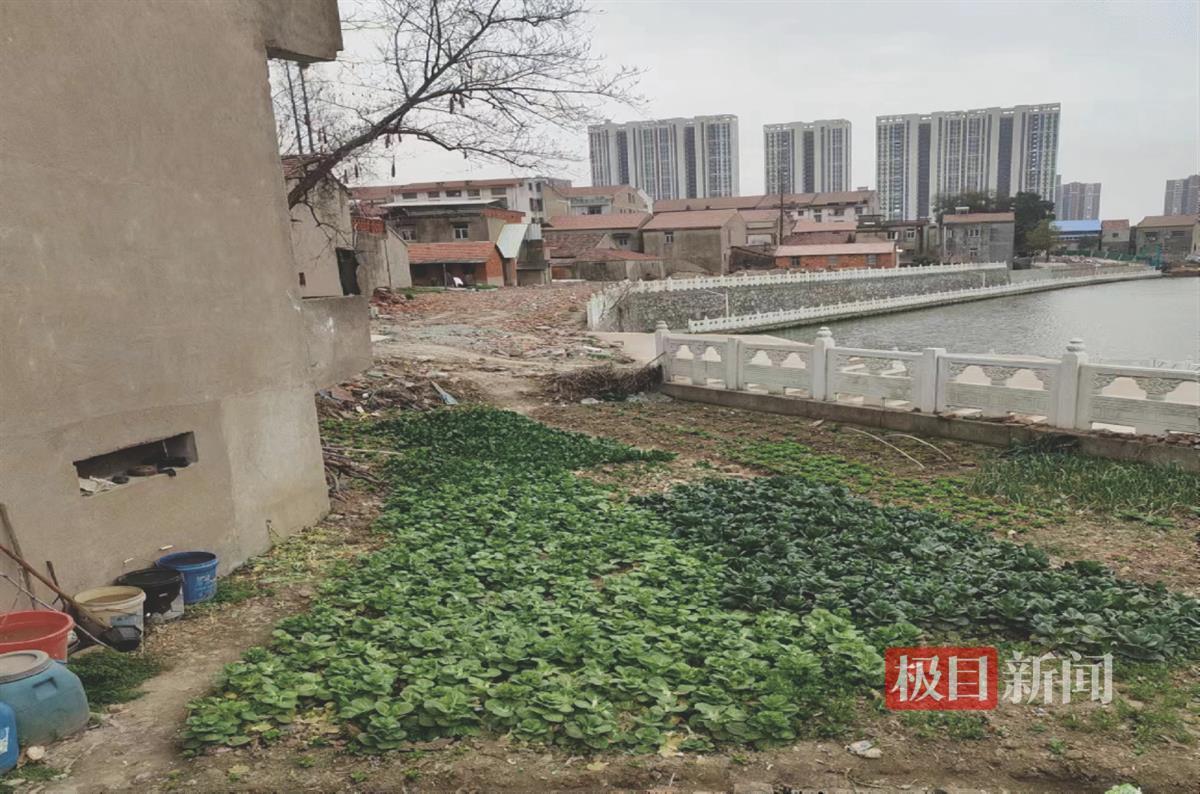 治理前.png
