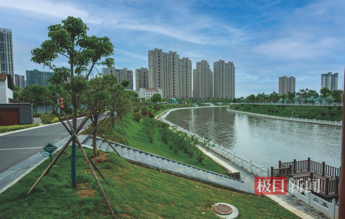 治理后3.png