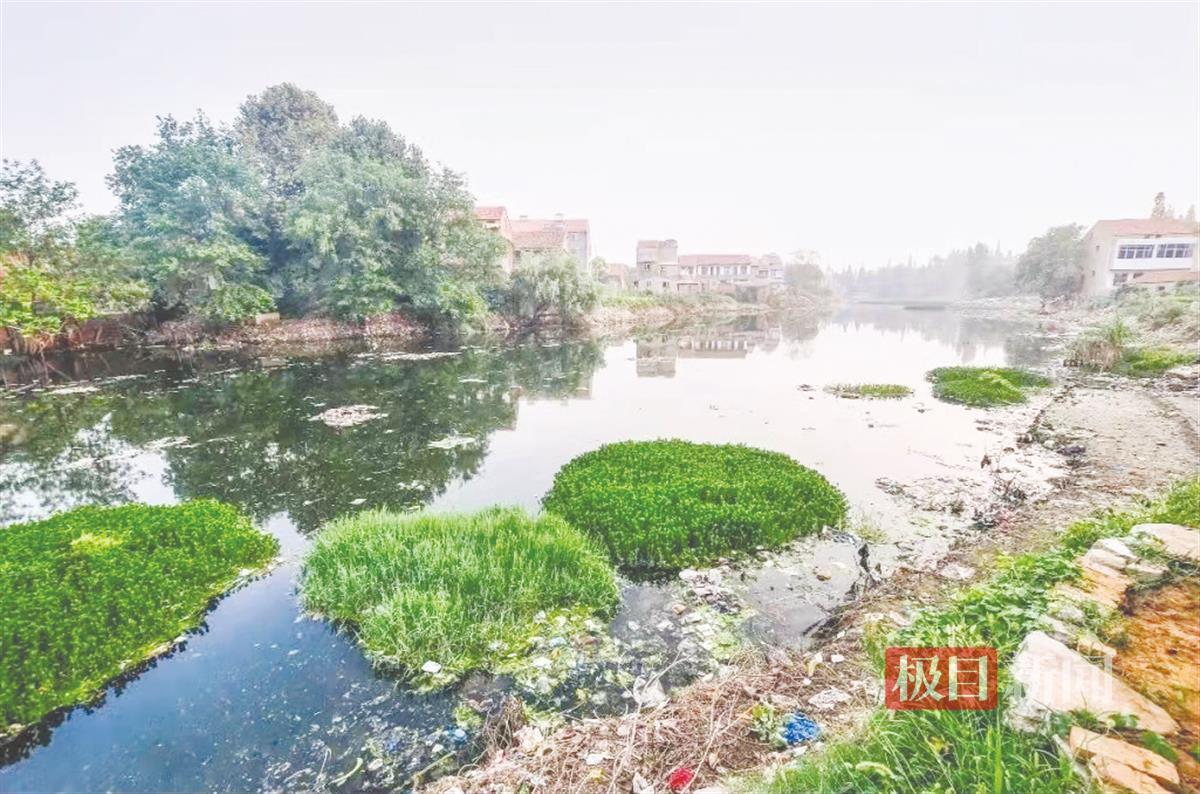 治理前3.png