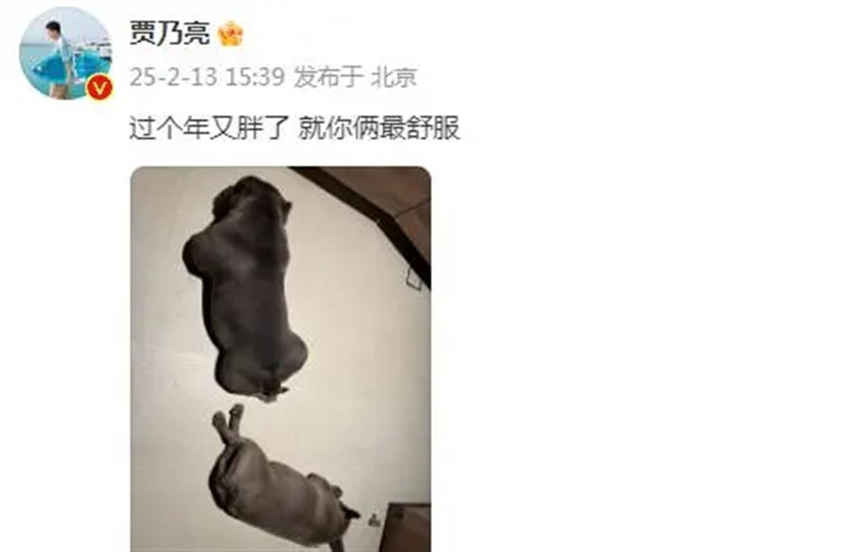 微信图片_20250213183054.png