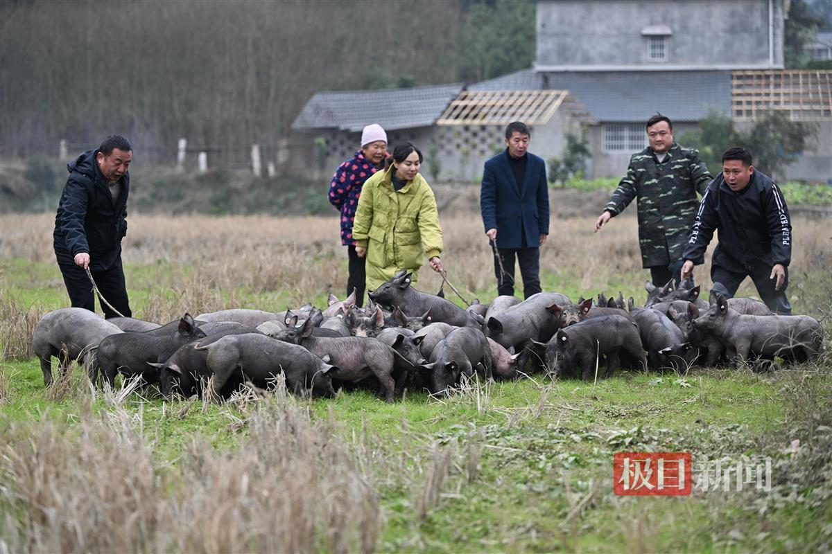 cb202501022030148428804jx0.jpg cb202501022030148428804jx0.jpg