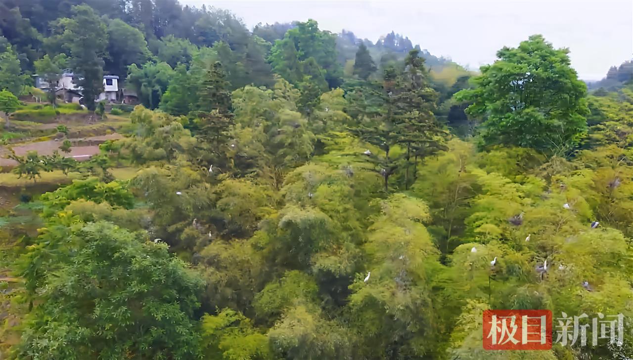 微信图片_20250519191227.jpg 微信图片_20250519191227.jpg