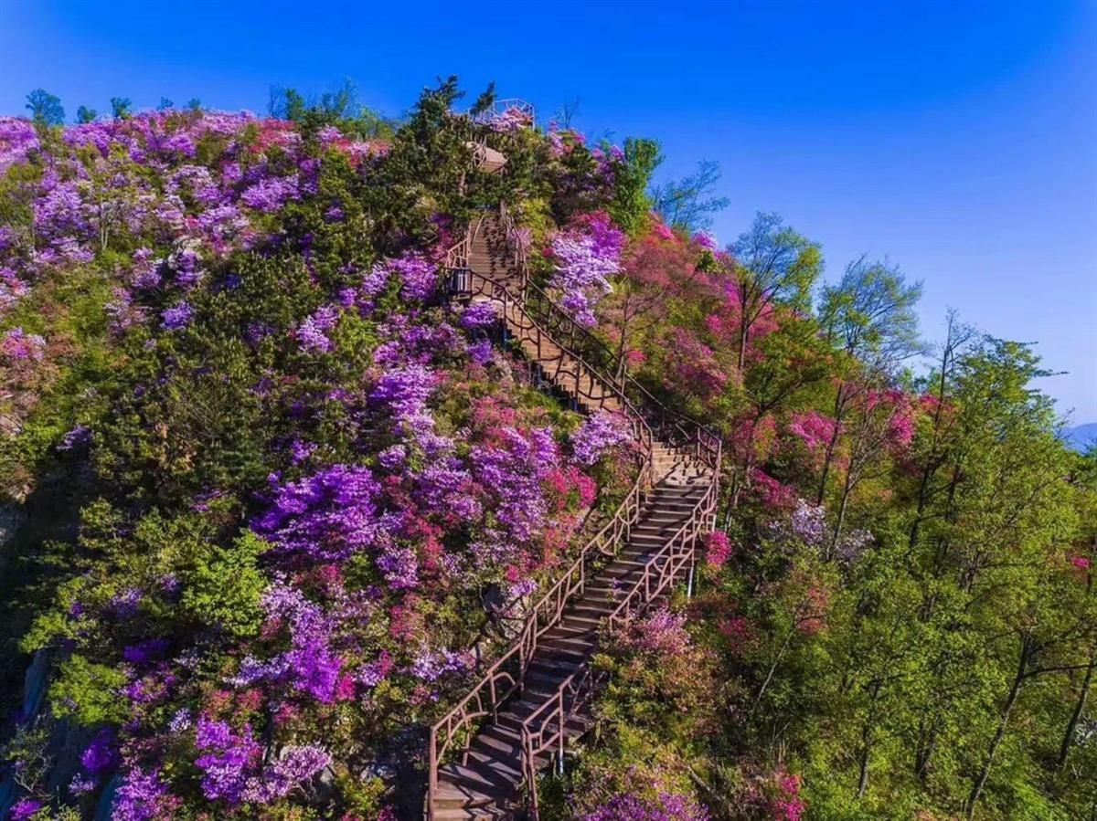 黄冈天马寨景区.