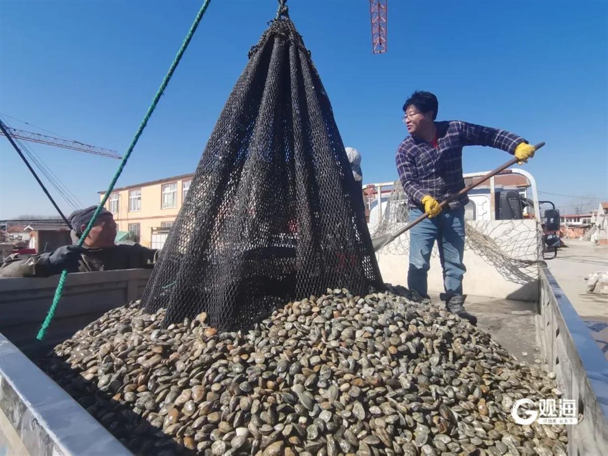 微信图片_20250226094356.jpg 微信图片_20250226094356.jpg