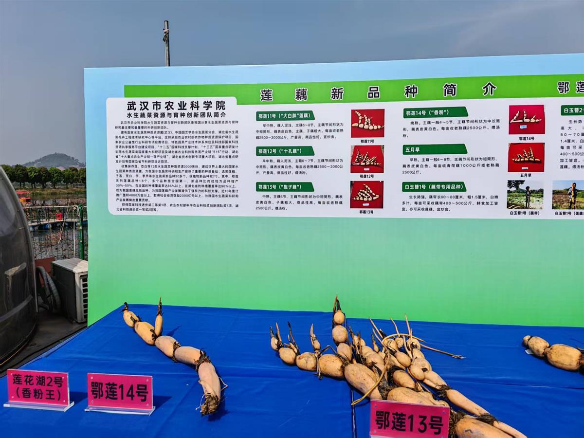 微信图片_20250409210409.jpg 微信图片_20250409210409.jpg