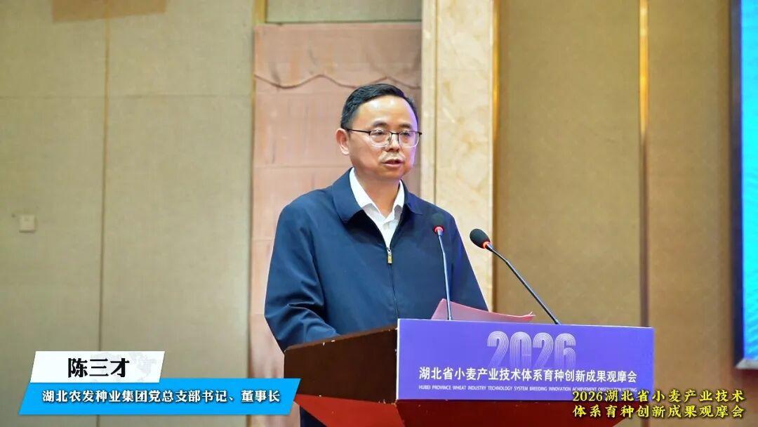 图片7.png 图片7.png