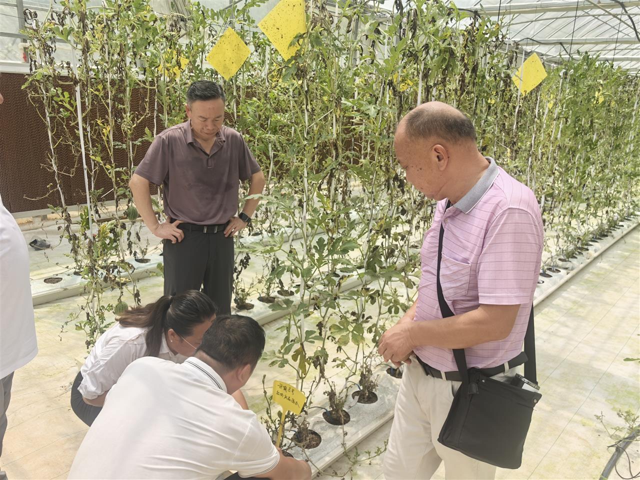 7c9f24459cfb280493a67c1e90895b3.jpg 7c9f24459cfb280493a67c1e90895b3.jpg