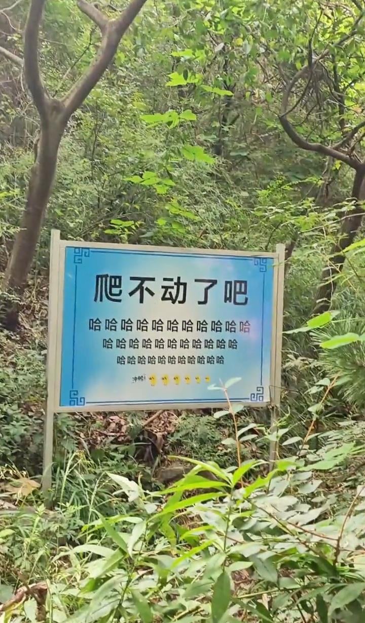 嵩山景区“加油”牌（视频截图）.jpg
