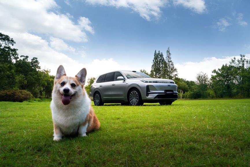 图片10.png 图片10.png