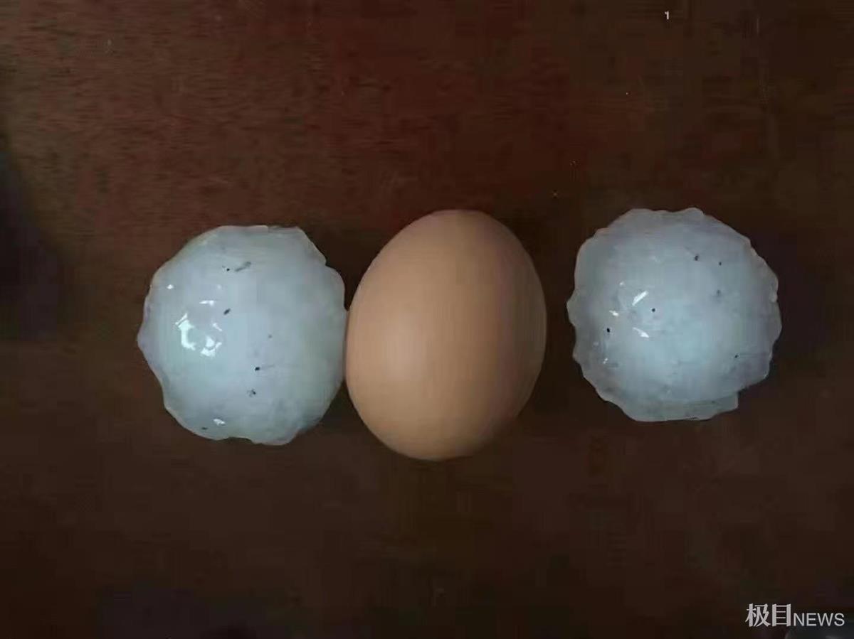 鸡蛋大的冰雹图片