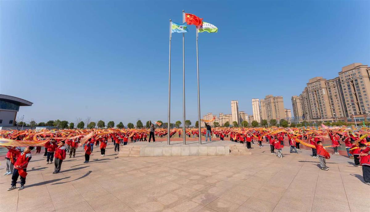 图片1.png 图片1.png