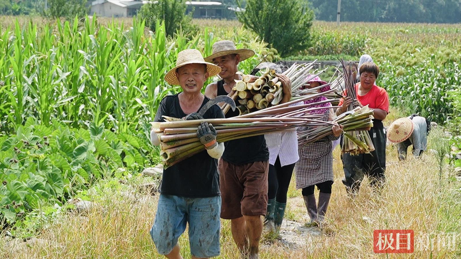 mmexportf462aeaa69b6db8c8b7d418c4aa6b8e4_1754913625785.jpeg mmexportf462aeaa69b6db8c8b7d418c4aa6b8e4_1754913625785.jpeg