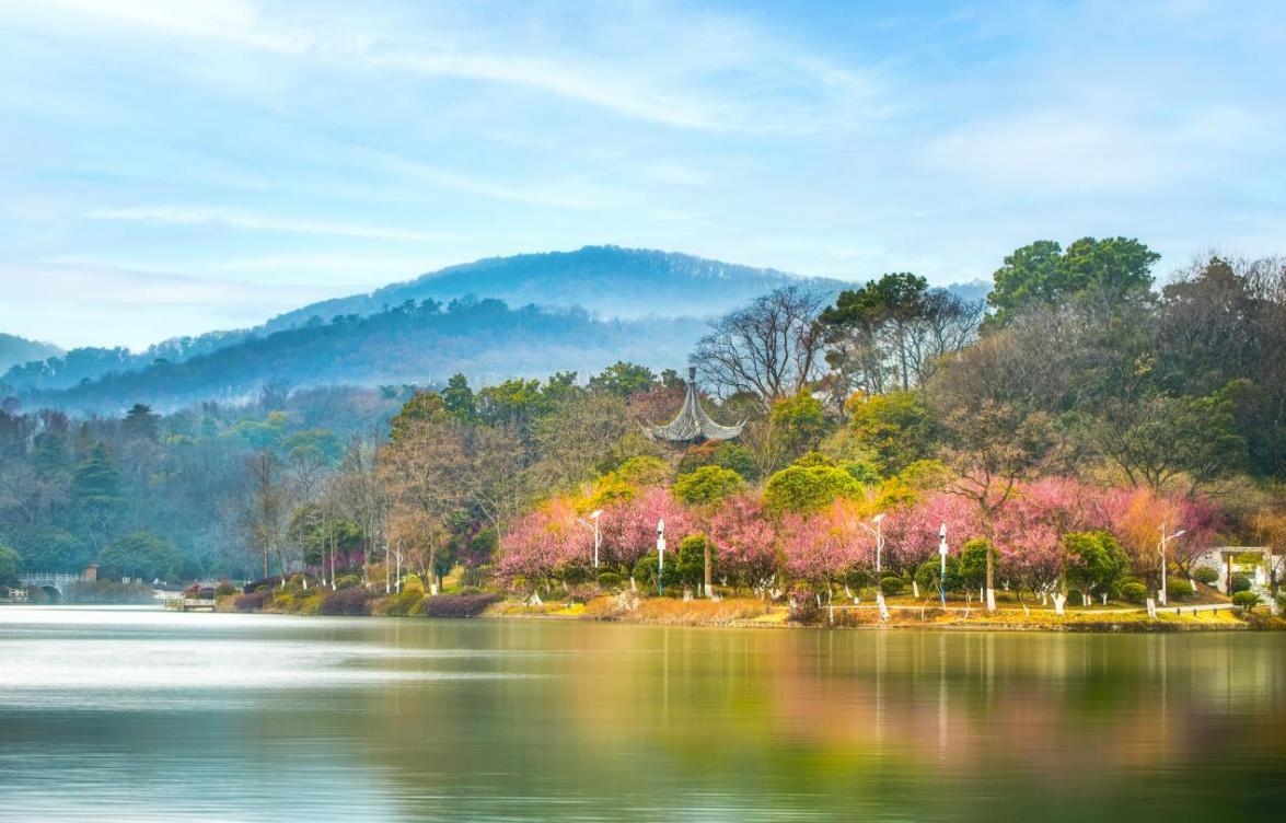 图片8.png 图片8.png