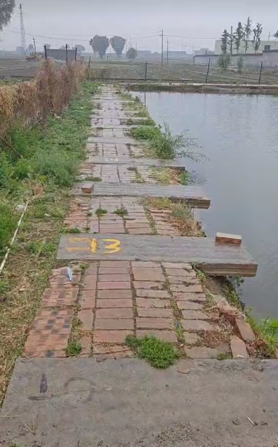 qq_pic_merged_1779947965656.jpg