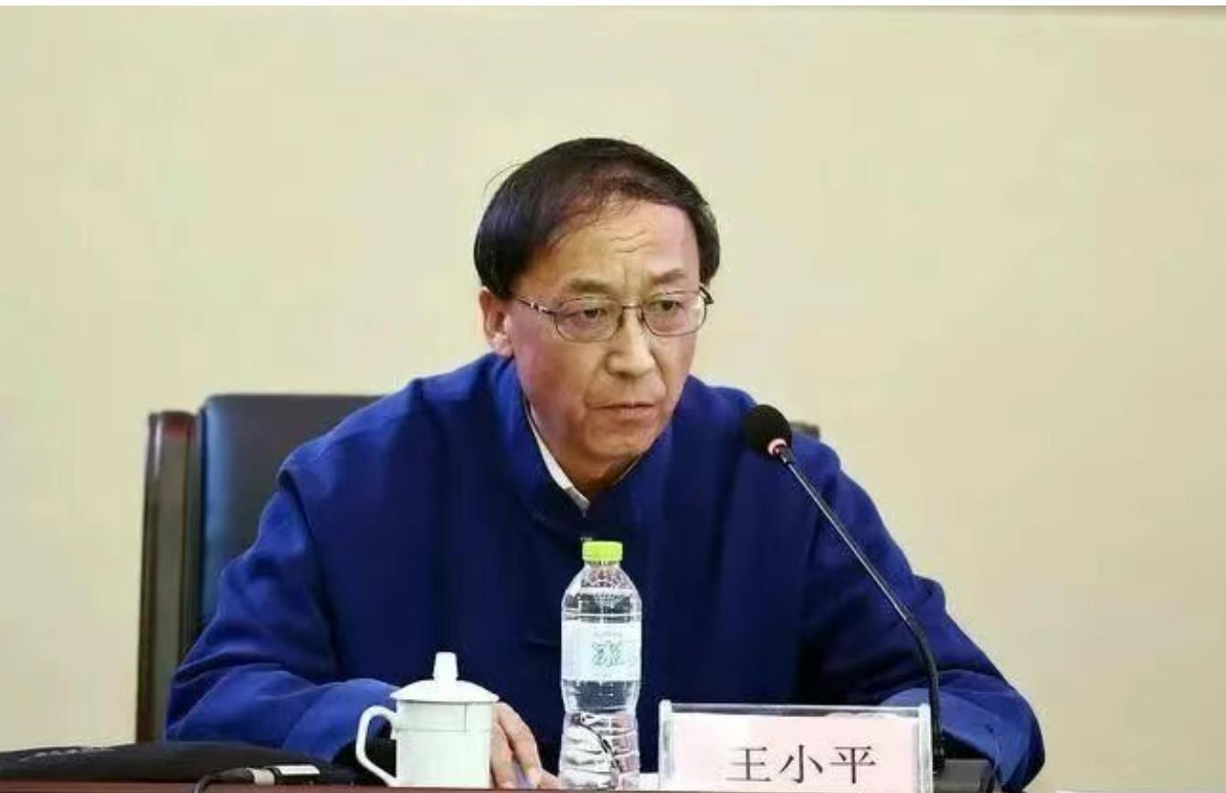 中国足协原纪委主任王小平受贿案二审维持原判，驳回上诉，维持原判判决结果不变