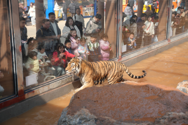 w700d1q75cms.jpg w700d1q75cms.jpg