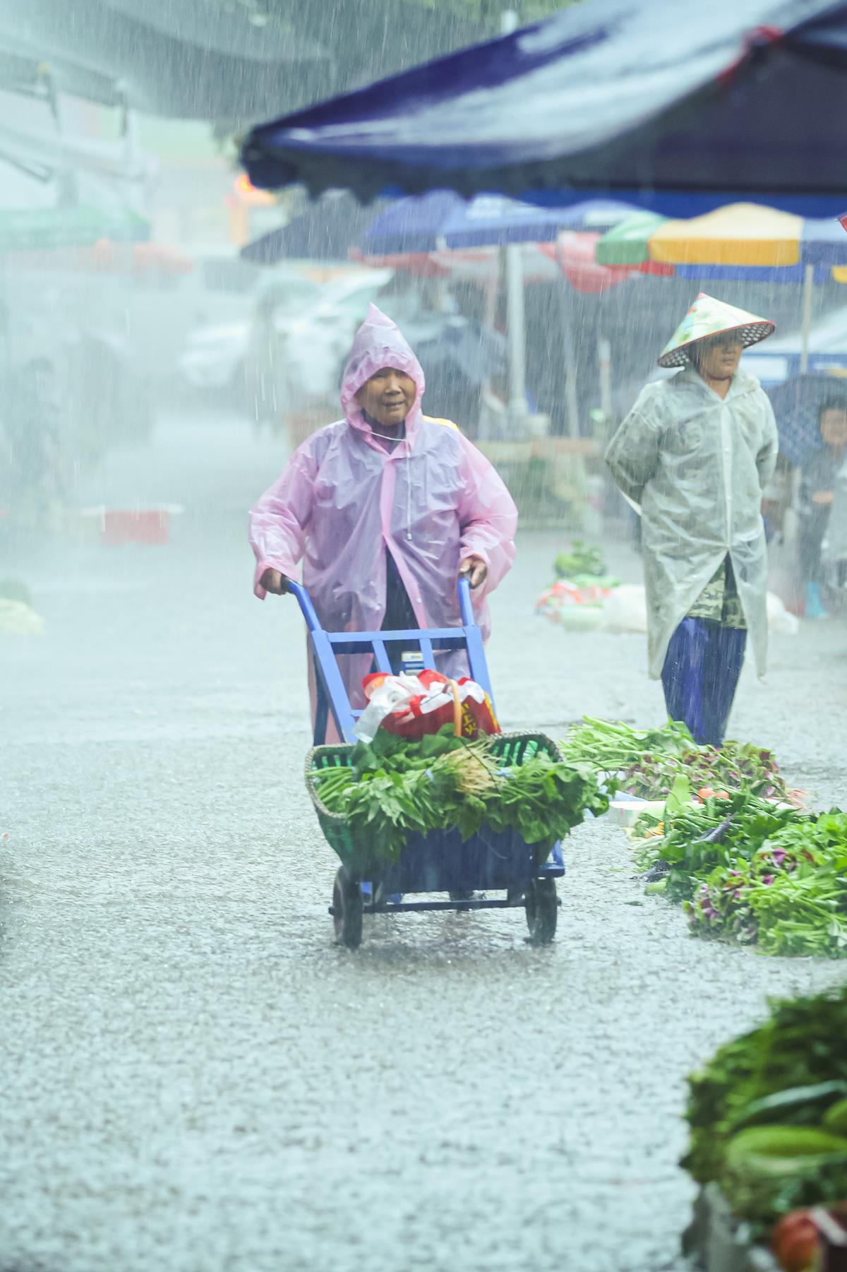 M31A9799 拷贝,,.png