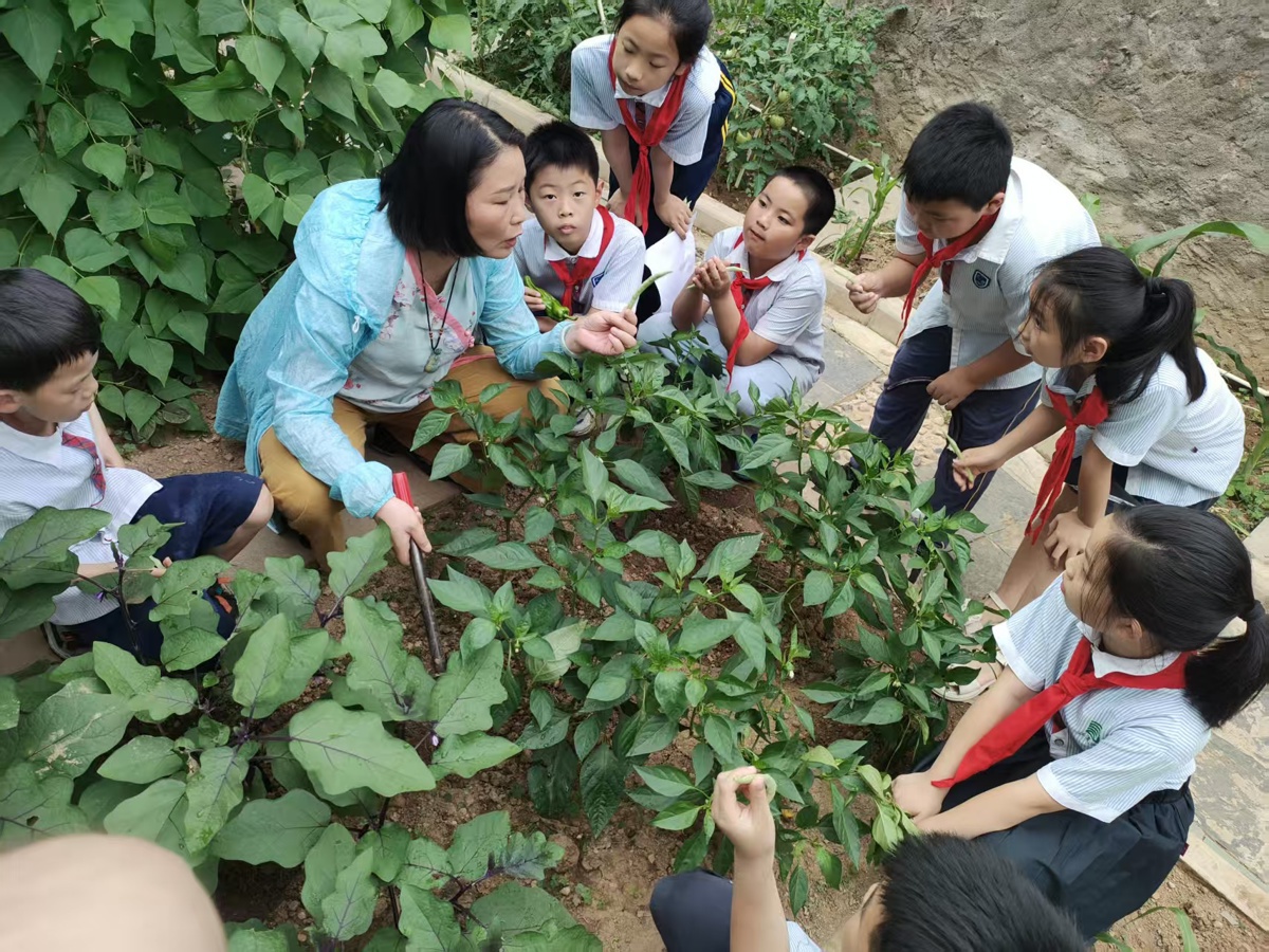 60f539b0013b12a28b4491be947a6eae.jpg 60f539b0013b12a28b4491be947a6eae.jpg