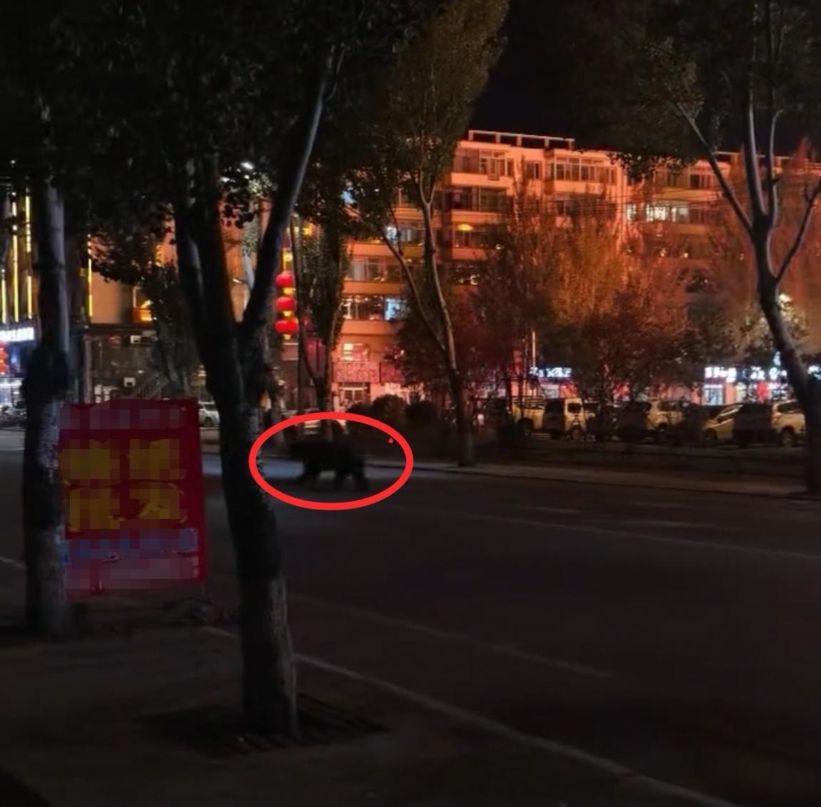 Screenshot_20251023_100919_com.huawei.himovie.loc.jpg