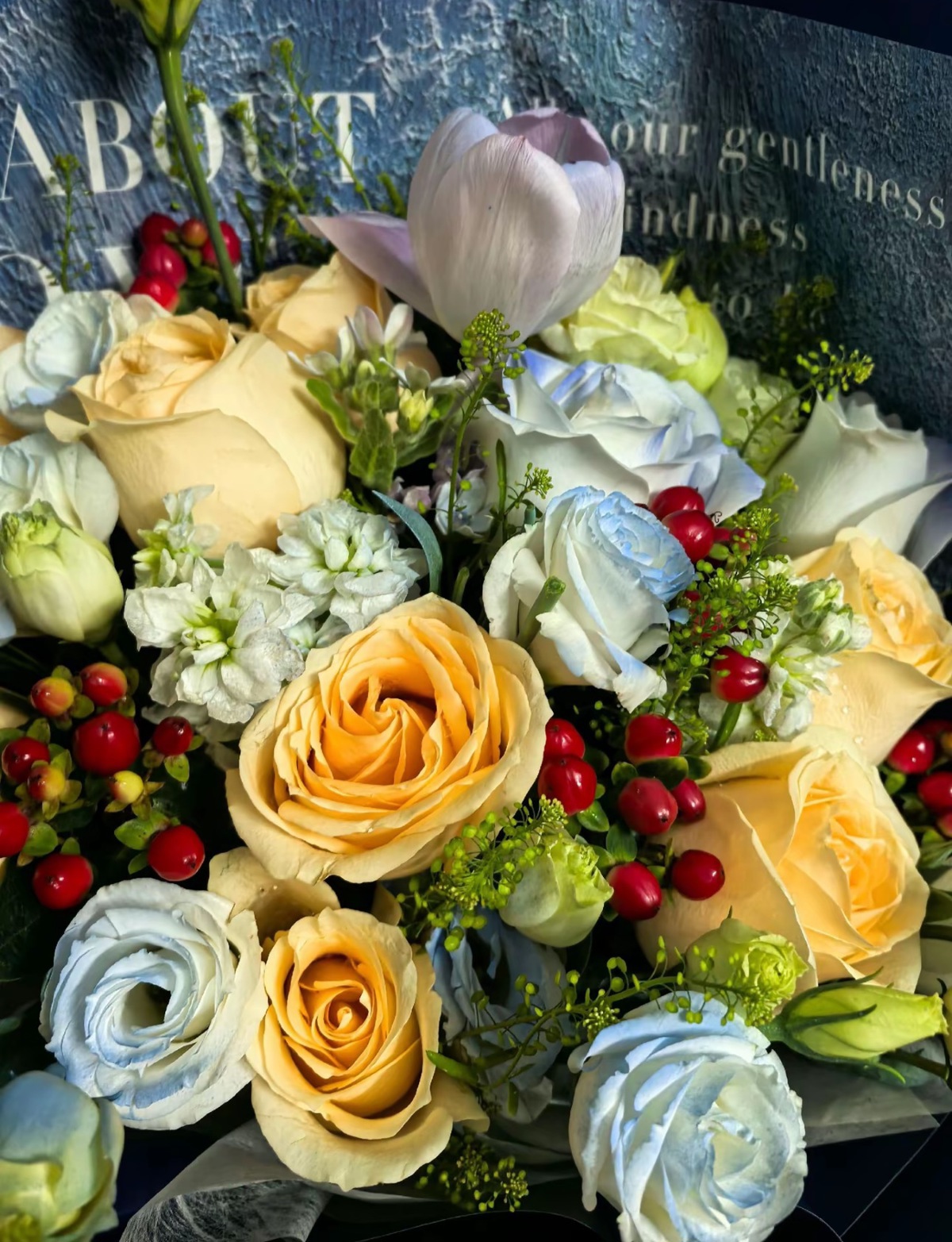 C3552EECAEE7EA1CBCA40D54E5C5DB0D.png