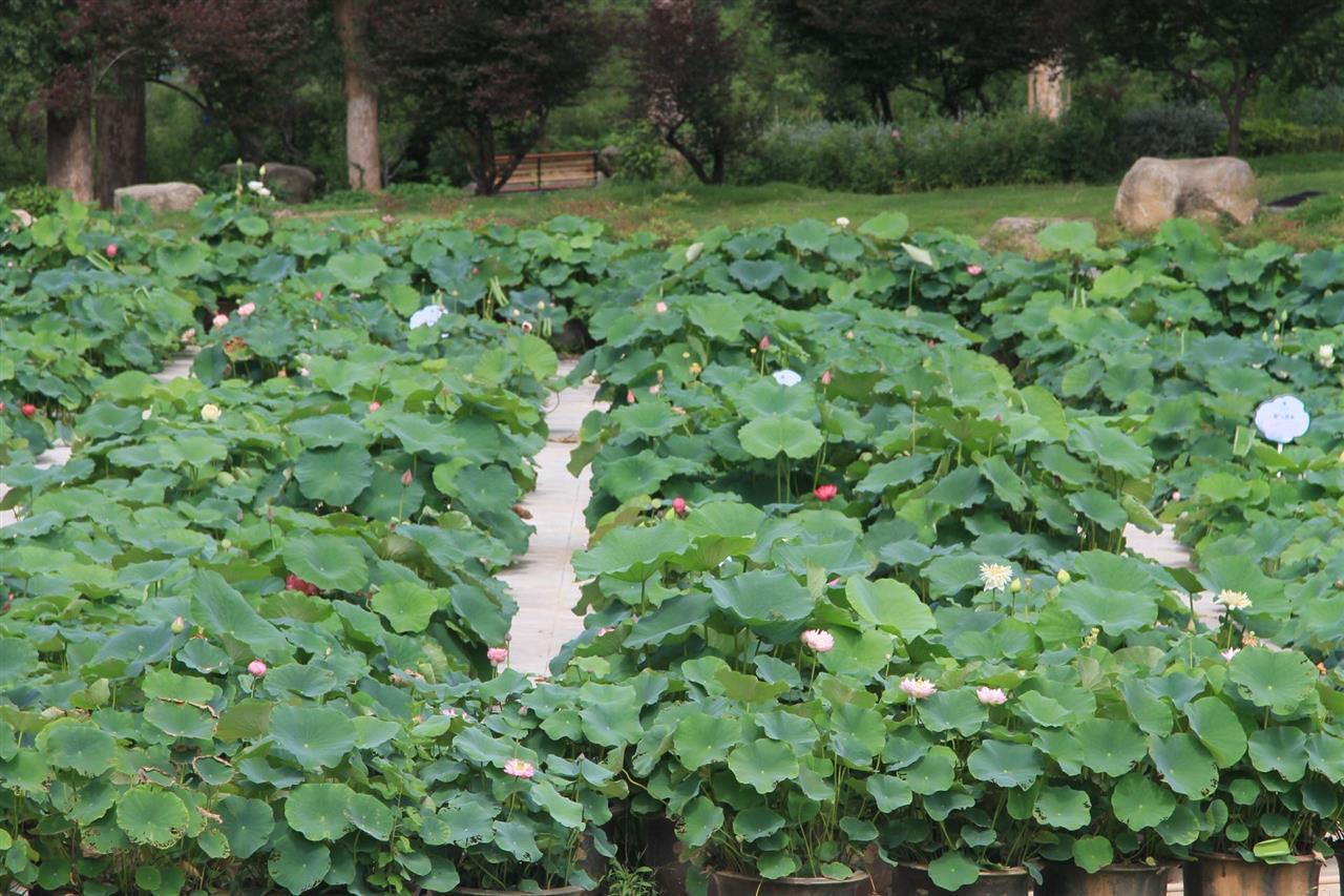 91c70ee6b450a38dab45fb480f8b347a_pub_cb202506051641027911037odq.jpg 91c70ee6b450a38dab45fb480f8b347a_pub_cb202506051641027911037odq.jpg