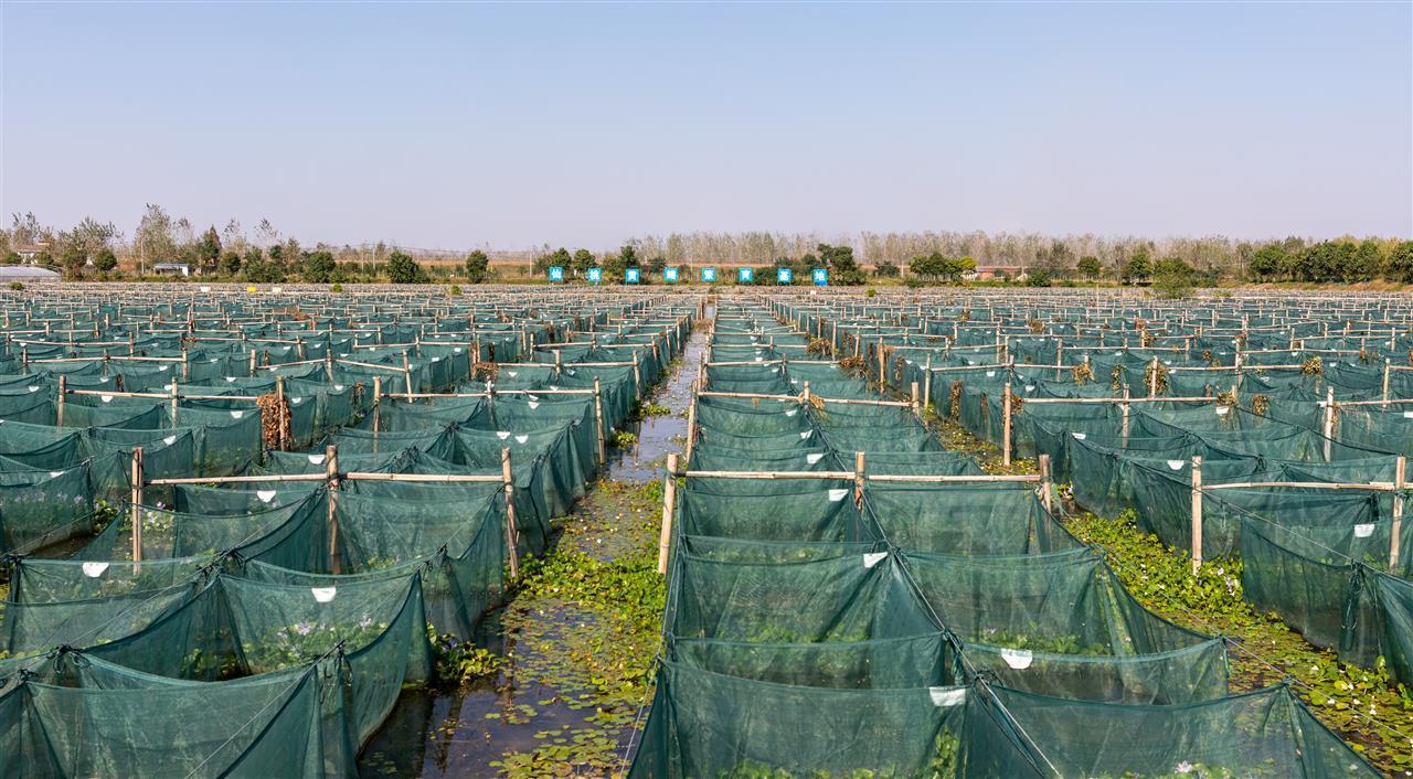 8a670726d5eec58672d711e0369c4853_pub_cb202509091407579937594lvt.jpeg 8a670726d5eec58672d711e0369c4853_pub_cb202509091407579937594lvt.jpeg