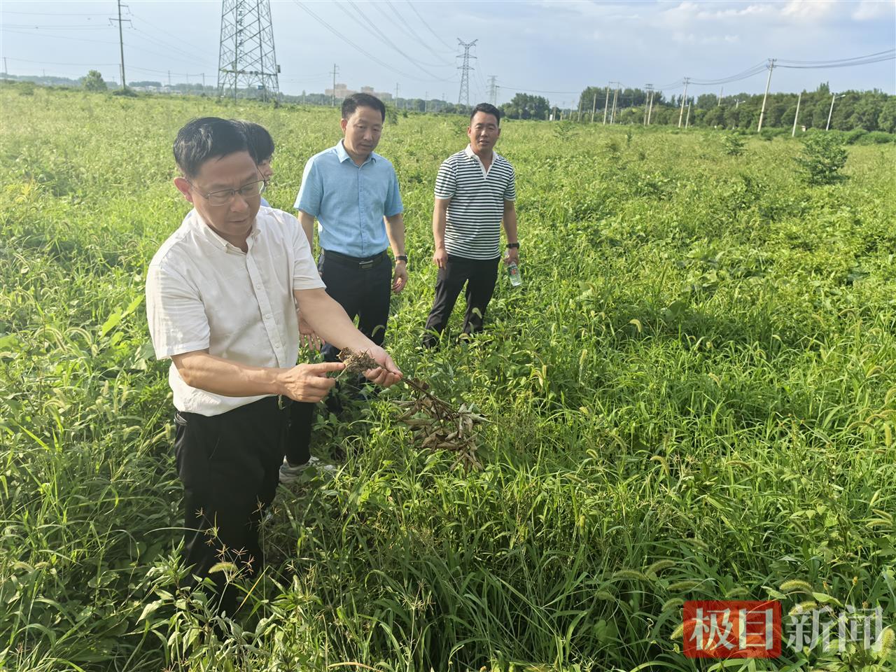 九女峰2.png 九女峰2.png