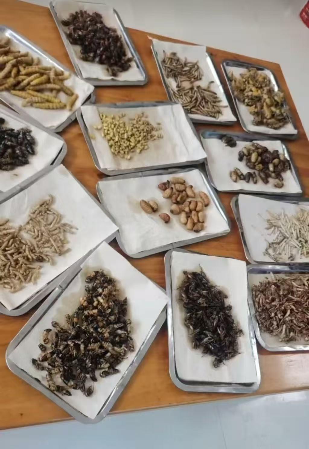 2891752226396_.pic.jpg 2891752226396_.pic.jpg