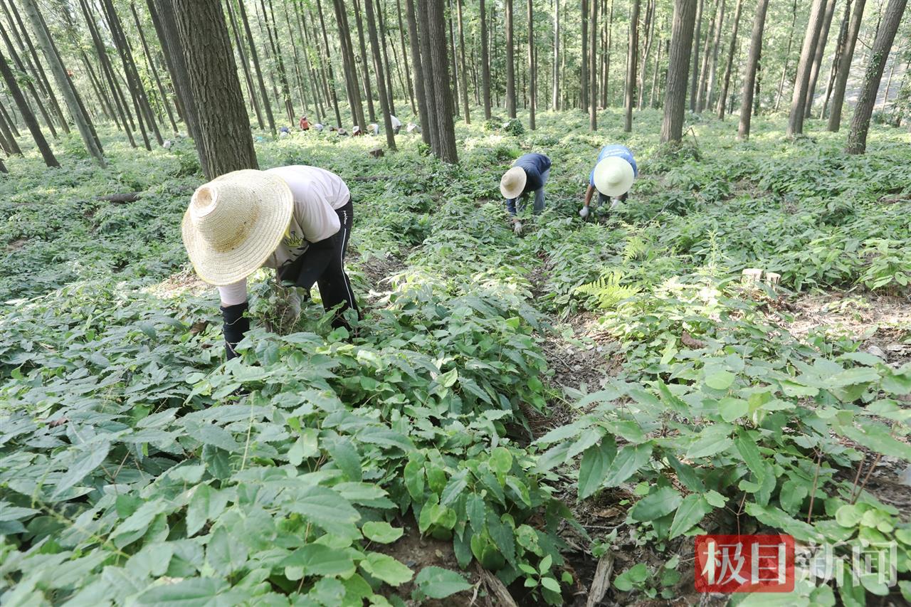 生态富民.jpg