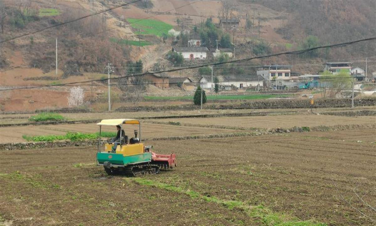 关防辣椒.png 关防辣椒.png