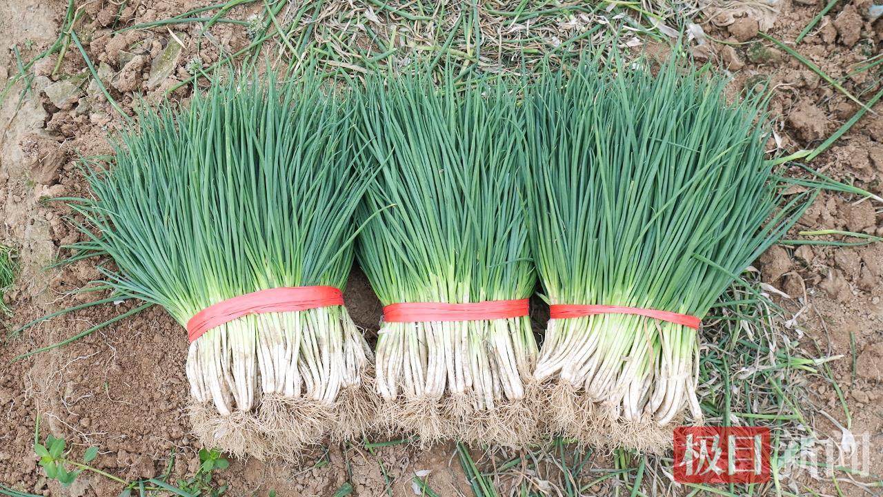 微信图片_20250523154723.png 微信图片_20250523154723.png